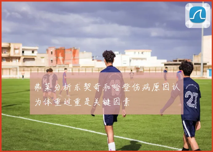 弗莱分析东契奇和哈登伤病原因认为体重过重是关键因素