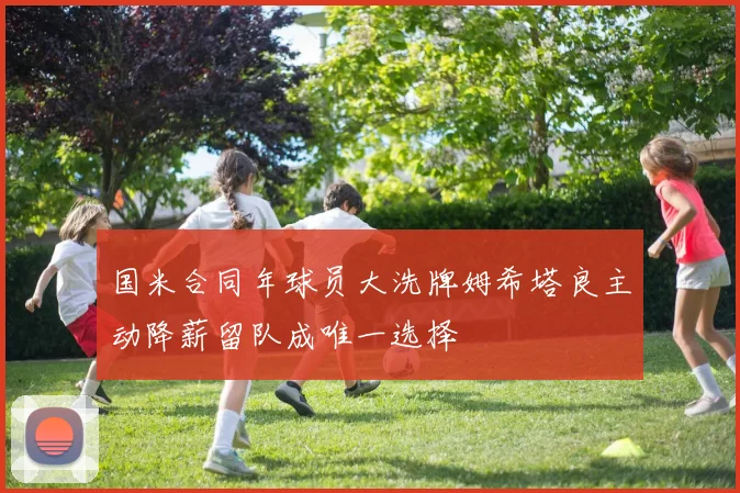 国米合同年球员大洗牌姆希塔良主动降薪留队成唯一选择