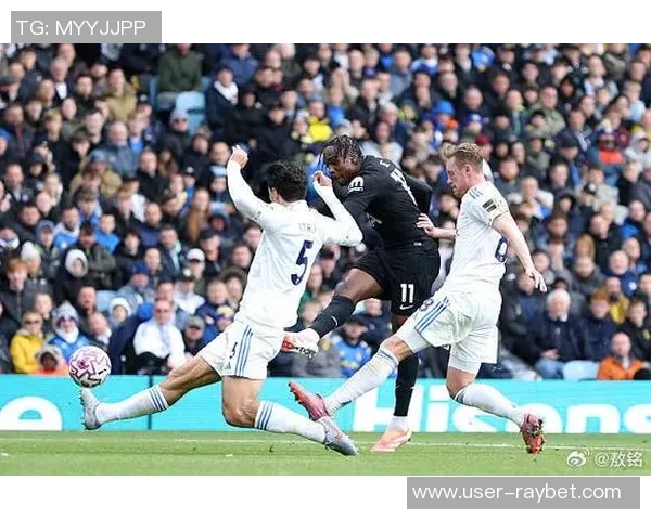 利兹联球迷两度向热刺球员投掷物品或将遭遇高额罚款 利兹联球迷两度向热刺球员投掷物品或将遭遇高额罚款
